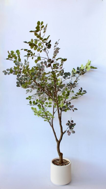 Green Leaf Tree In Ceramic Pot